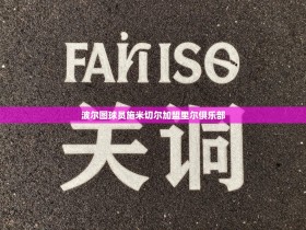 波尔图球员施米切尔加盟里尔俱乐部