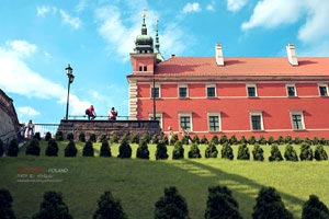 热门游泳选手取得历史性胜利：改变游泳界的传奇瞬间