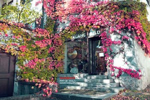 国内职业篮球职业赛事大热门