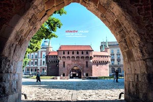 博洛尼亚队展现实力，风头无两？