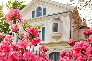 博洛尼亚队展现实力，风头无两？