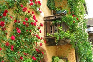 博洛尼亚队展现实力，风头无两？