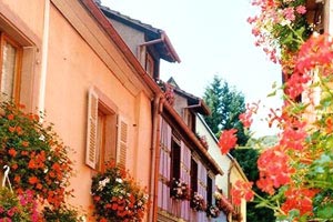 博洛尼亚队展现实力，风头无两？