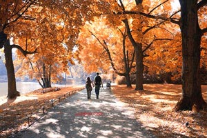 长风破浪：巴勒斯坦队在锦标赛中取得胜利